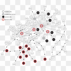 Circle, HD Png Download - red circle outline png