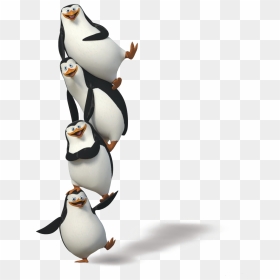 Transparent Penguins Of Madagascar Clipart, HD Png Download - penguins png