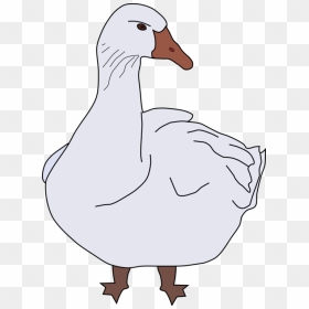 Transparent Geese Png - Goose Clipart, Png Download - geese png
