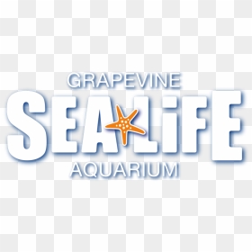 Sea Life London Aquarium, HD Png Download - sea life png