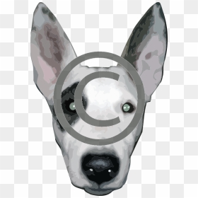Dog Head Transparent, HD Png Download - animal head png