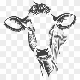 Cow Head Clipart - Cow Face Drawing, HD Png Download - animal head png