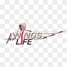 Spinal Cord Injury Ambassador, Co-chair Ambassador - Wings For Life Png, Transparent Png - spinal cord png