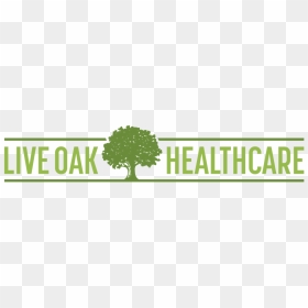 Live Oak Healthcare Logo 2@4x - Oak, HD Png Download - live oak png