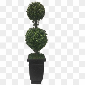Topiary Hedge Shrub Bush Plant Freetoedit - Topiary, HD Png Download - bush silhouette png