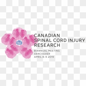 Impatiens, HD Png Download - spinal cord png