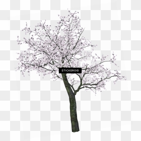 Japanese Goblin Emoji - Cherry Blossom Tree Drawing Black And White, HD Png Download - tree emoji png