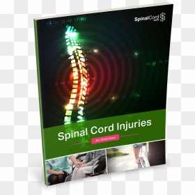 Flyer, HD Png Download - spinal cord png