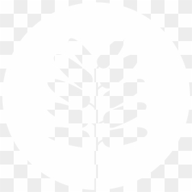Circle, HD Png Download - tamarindo png