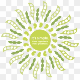 1111111111 - Circle, HD Png Download - franklin png