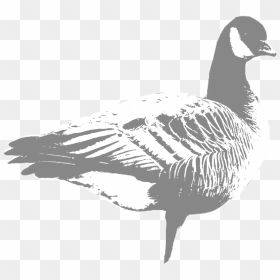 Cackler - Portable Network Graphics, HD Png Download - geese png