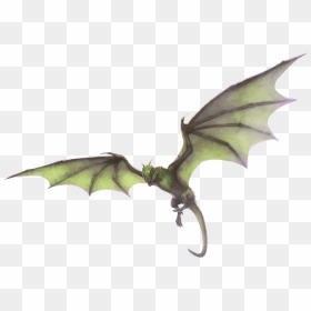 A Green, Two-legged Dragon In Flight - Harry Potter Welsh Green, HD Png Download - green dragon png