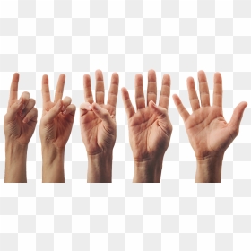 3 Jari Tangan Png, Transparent Png - hand palm png