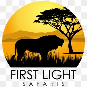 First Light Safaris - African Safari Logo Png, Transparent Png - bush silhouette png