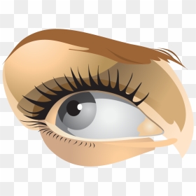Illustration, HD Png Download - eyelashes clipart png