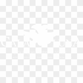 Johns Hopkins Logo White, HD Png Download - tamarindo png