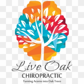 Live Oak Chiropractic - Logo Cerebro E Arvore, HD Png Download - live oak png