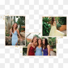 Dressed Up By Bella Mia, Dressed Up, Formal Wear, Michigan - Photograph, HD Png Download - prom dress png