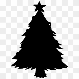 Mornington House Paellera Albert Community Victoria - Christmas Tree, HD Png Download - street tree png