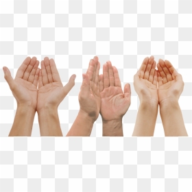 Sign Language, HD Png Download - hand palm png