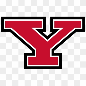 Youngstown State Football Logo, HD Png Download - penguins logo png