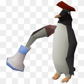 Osrs Penguin, HD Png Download - penguins png