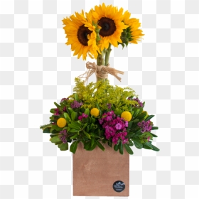 Árbol De Girasoles - Sunflower, HD Png Download - girasoles png