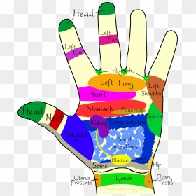 Transparent Massage Hands Clipart - Colour Therapy On Hands, HD Png Download - hand palm png