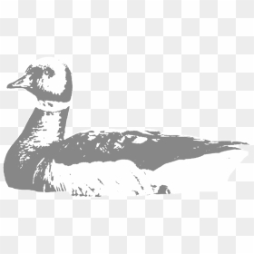 Brant - Cold Bay, HD Png Download - geese png