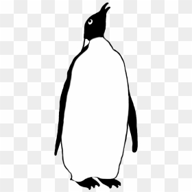Emperor Penguin Drawing - Pingwin Clipart Black And White Png, Transparent Png - penguins png