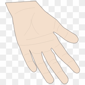 Angle,thumb,organ - Hand Skin Clipart, HD Png Download - hand palm png