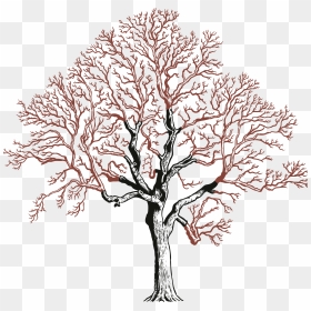 Creative Arts, HD Png Download - street tree png