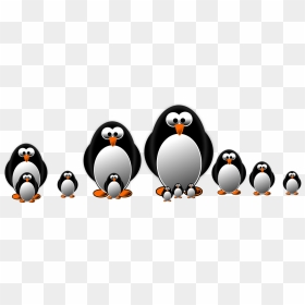 Penguins - Pinguinos Animado Png, Transparent Png - penguins png