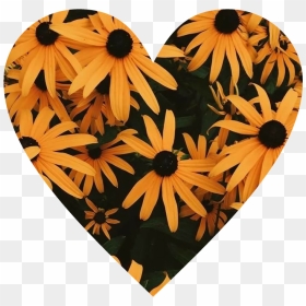 #corazón #girasoles #flores #love #yellow - Flower Lockscreen, HD Png Download - girasoles png