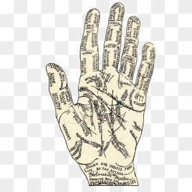 Drawing, HD Png Download - hand palm png
