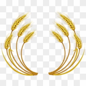 Free Download Wheat Vector Clipart Wheat Clip Art - Transparent Background Free Png Wheat Transparent, Png Download - wheat vector png