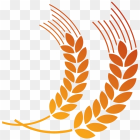 Wheat Coat Of Arms, HD Png Download - wheat vector png
