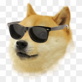 Thumb Image - Doge With White Background, HD Png Download - doge meme png