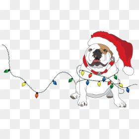 Santa - Illustration, HD Png Download - dog snapchat filter png