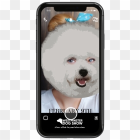 Westminster Filter - Mobile Phone, HD Png Download - dog snapchat filter png