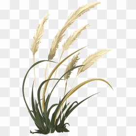 Cỏ Lau Vector, HD Png Download - wheat vector png