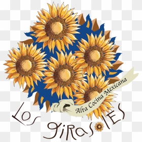 African Daisy , Png Download - Sunflower, Transparent Png - girasoles png
