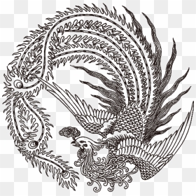 Collection Of Free Phoenix Drawing Dragon Download - Chinese Phoenix, HD Png Download - chinese dragon vector png