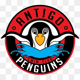 Antigo Swim Club Logo - Penguin Swimming Logo, HD Png Download - penguins logo png
