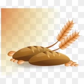انتاج القمح في العالم, HD Png Download - wheat vector png