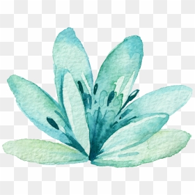 Transparent Watercolor Mint Green - Watercolour Green Flower Png, Png Download - green watercolor png