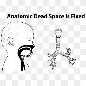 Illustration Showing A Cross Section Of A Baby"s Airway - Increasing Anatomic Dead Space, HD Png Download - dead space logo png