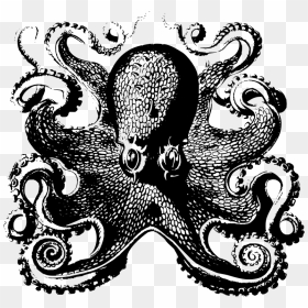 Octopus Front , Png Download - Victorian Octopus, Transparent Png - octopus tentacles png