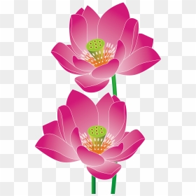 Nelumbo Nucifera Euclidean Vector - Lotus Vector, HD Png Download - chinese dragon vector png