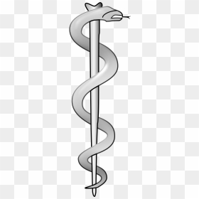 Rod Of Asclepius Do, HD Png Download - rod of asclepius png